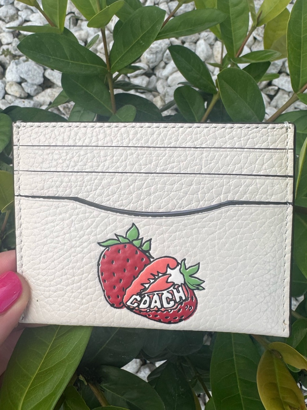 Coach Slim ID Card Case With Strawberry Print